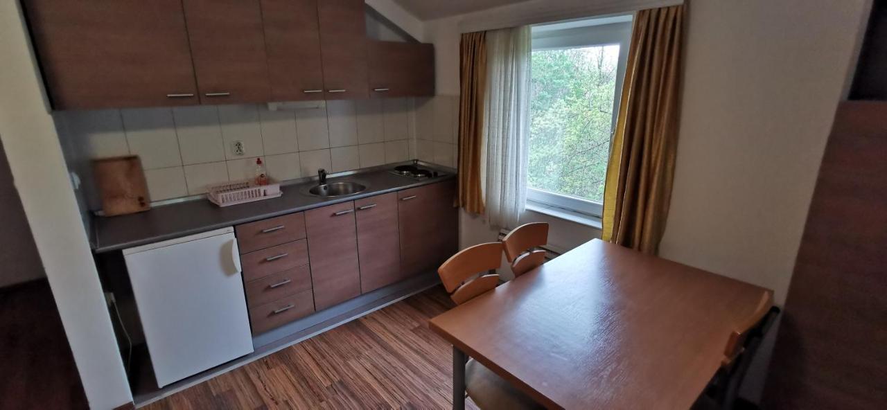 Apartments Banjica ソコバニャ エクステリア 写真